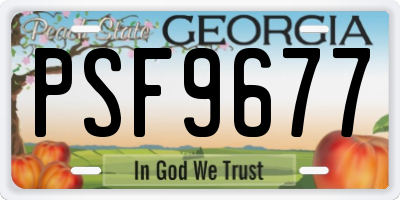 GA license plate PSF9677