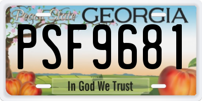 GA license plate PSF9681