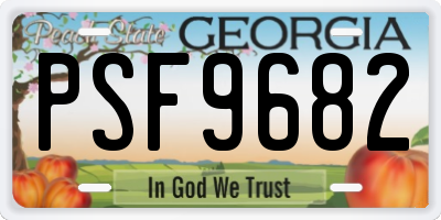 GA license plate PSF9682