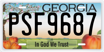 GA license plate PSF9687