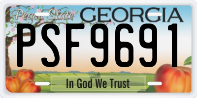 GA license plate PSF9691