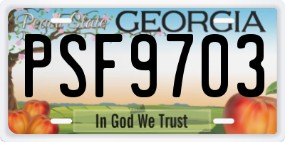 GA license plate PSF9703