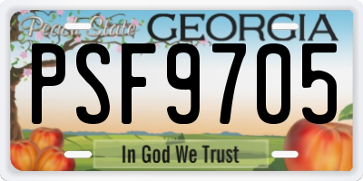 GA license plate PSF9705