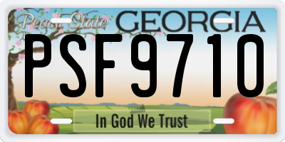 GA license plate PSF9710