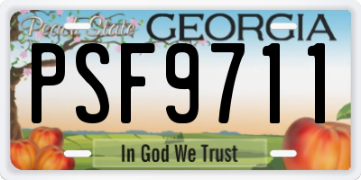 GA license plate PSF9711