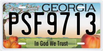 GA license plate PSF9713