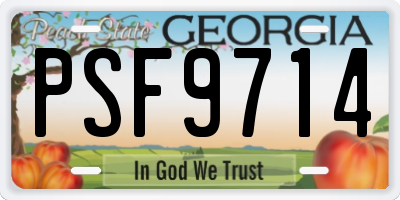 GA license plate PSF9714