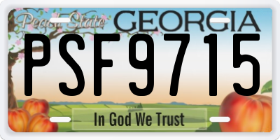 GA license plate PSF9715