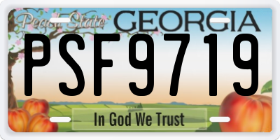 GA license plate PSF9719