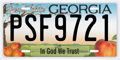 GA license plate PSF9721