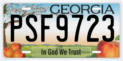 GA license plate PSF9723