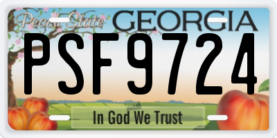 GA license plate PSF9724