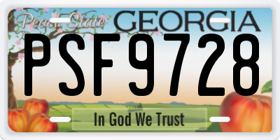 GA license plate PSF9728