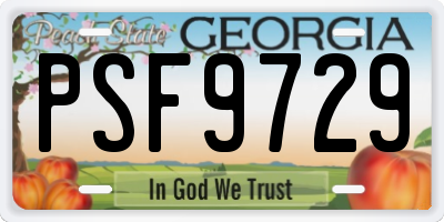GA license plate PSF9729