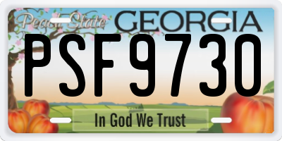 GA license plate PSF9730