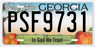 GA license plate PSF9731