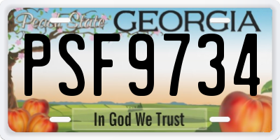 GA license plate PSF9734
