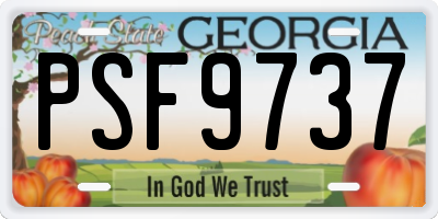 GA license plate PSF9737