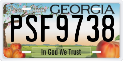 GA license plate PSF9738