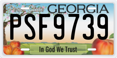 GA license plate PSF9739