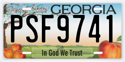 GA license plate PSF9741