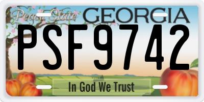 GA license plate PSF9742