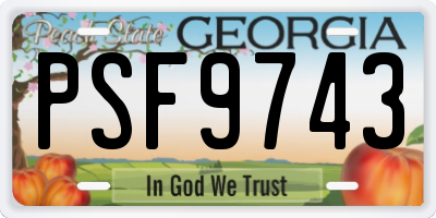 GA license plate PSF9743