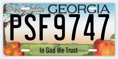 GA license plate PSF9747