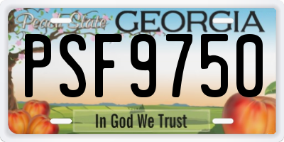 GA license plate PSF9750