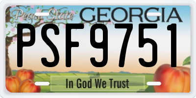GA license plate PSF9751