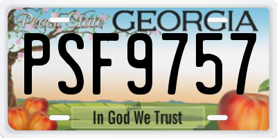 GA license plate PSF9757