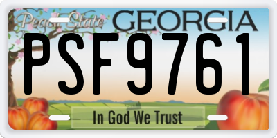 GA license plate PSF9761
