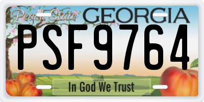 GA license plate PSF9764