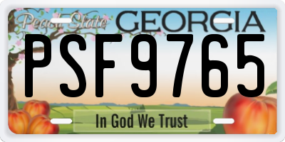 GA license plate PSF9765