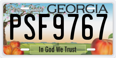 GA license plate PSF9767