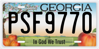 GA license plate PSF9770