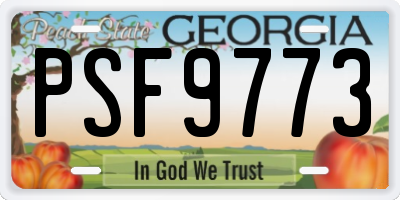 GA license plate PSF9773