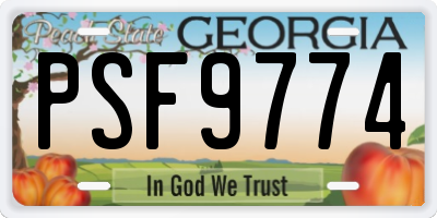 GA license plate PSF9774