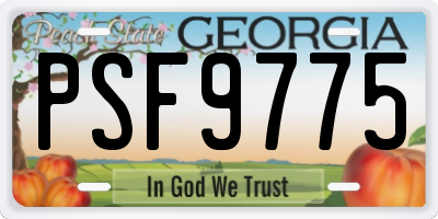GA license plate PSF9775