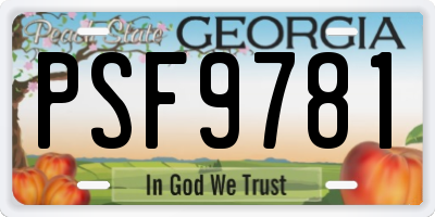 GA license plate PSF9781