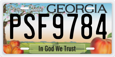 GA license plate PSF9784