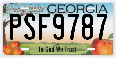 GA license plate PSF9787