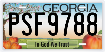 GA license plate PSF9788