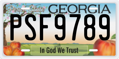 GA license plate PSF9789