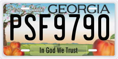 GA license plate PSF9790