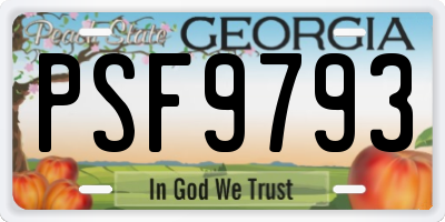 GA license plate PSF9793