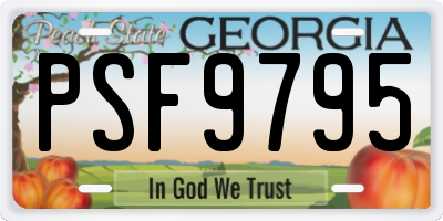GA license plate PSF9795