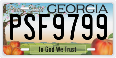 GA license plate PSF9799