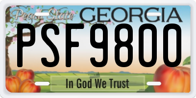 GA license plate PSF9800