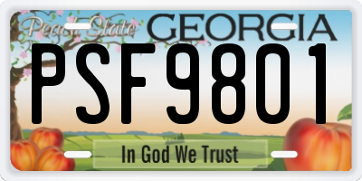 GA license plate PSF9801